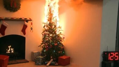 Hombre y su perro mueren en Puerto La Cruz tras incendiarse el arbolito de Navidad