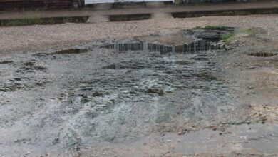 Vecinos de Raúl Leoni denuncian colapso total de aguas negras.