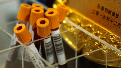 China: Desmantelan red que contrabandeó más de 100 mil muestras de sangre de embarazadas