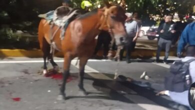 Colisión entre vehículo y caballo deja dos jóvenes lesionadas