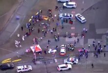 El momento en el que un civil logró desarmar a uno de los tiradores del ataque en Australia