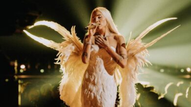 Elena Rose sufre el robo de una prenda de ropa interior durante un concierto en Washington