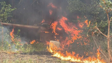 FANB destruye campamento destinado al narcotráfico en Apure