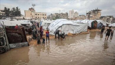 Gobierno palestino solicita 200.000 viviendas para familias desplazadas