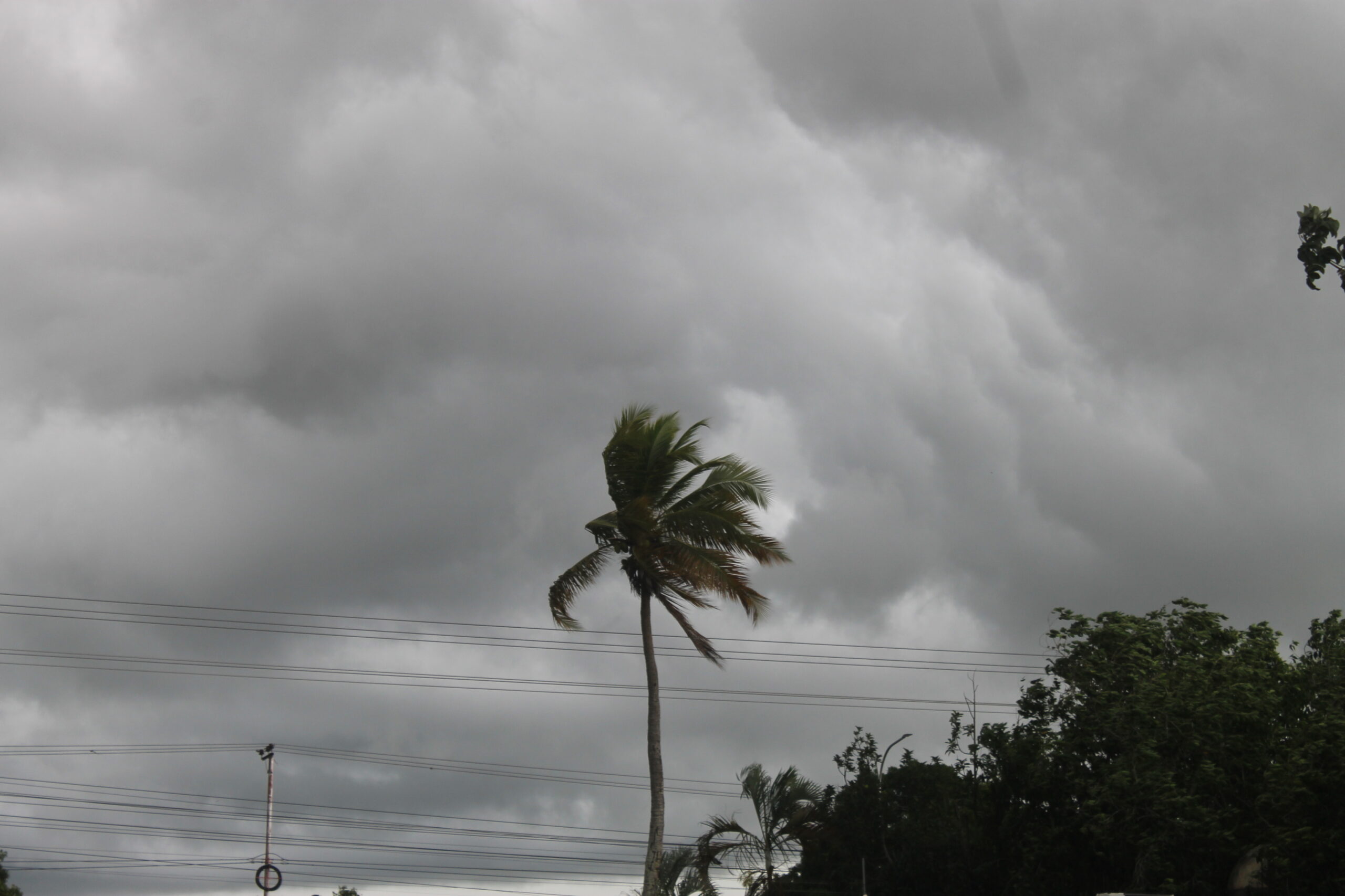 Lloviznas dispersas en gran parte del territorio nacional para este lunes 1 de diciembre