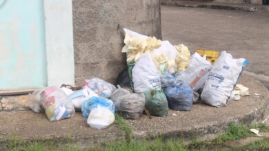 Habitantes de Colinas del Paramaconi piden eficiencia en el servicio de aseo ante fallas