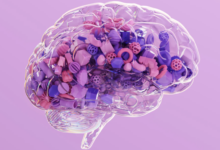 Reducir un 30% las calorías ralentiza el envejecimiento y protege la memoria