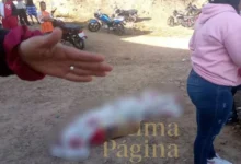 Detenido por asesinar a su compañero de copas al golpearlo con un ladrillo en la cabeza