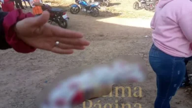 Detenido por asesinar a su compañero de copas al golpearlo con un ladrillo en la cabeza