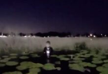 Localizan a niño con autismo atrapado en un estanque durante Navidad