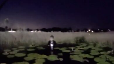 Localizan a niño con autismo atrapado en un estanque durante Navidad