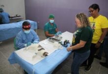 Misión Nevado y Gobernación esterilizan a más de 130 mascotas en mega jornada gratuita