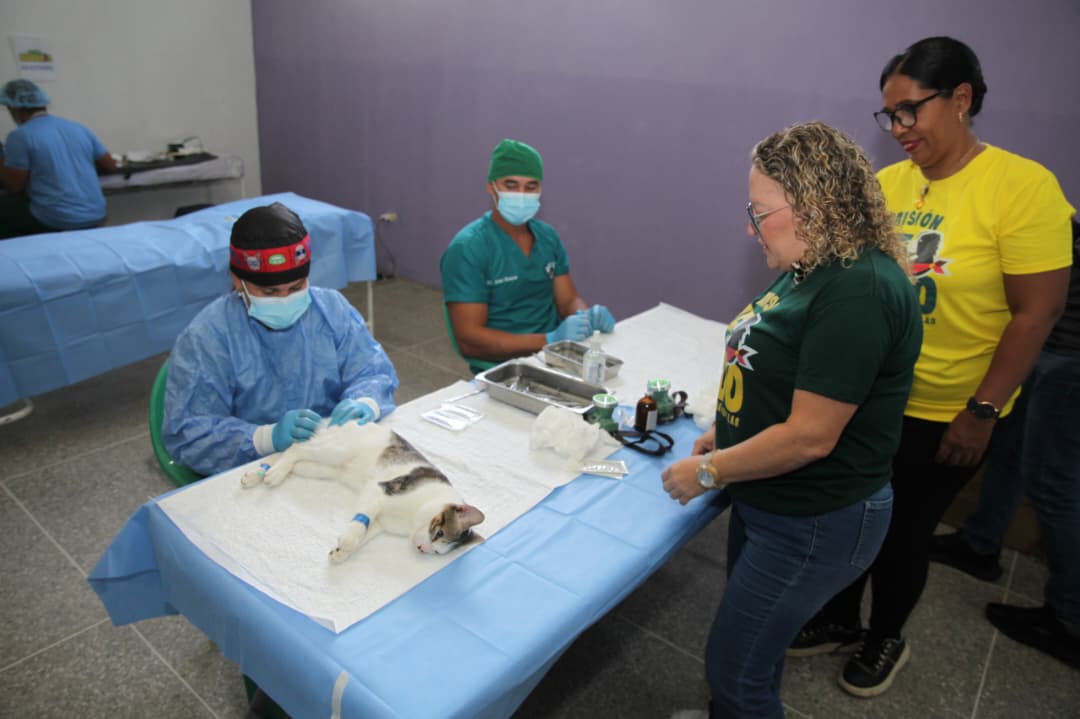 Misión Nevado y Gobernación esterilizan a más de 130 mascotas en mega jornada gratuita