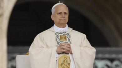 Papa León XIV : «Oremos para que todos los niños del mundo puedan vivir en la paz»