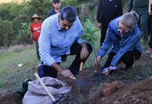 Plan Nacional Chuquisaca potenciará siembra de plantas medicinales y frutales en toda Venezuela