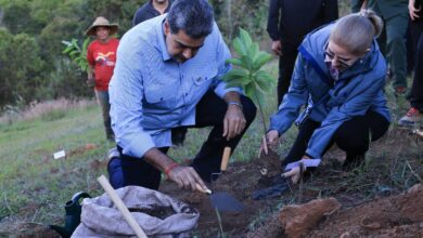 Plan Nacional Chuquisaca potenciará siembra de plantas medicinales y frutales en toda Venezuela