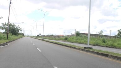 Delincuentes usan matorrales y piedras para asaltar a conductores y peatones en la vía de Los Iraníes.