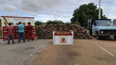 Detenidos en Anzoátegui por talar 4,5 hectáreas de bosque protegido