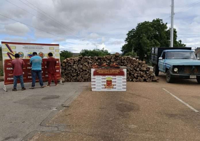 Detenidos en Anzoátegui por talar 4,5 hectáreas de bosque protegido