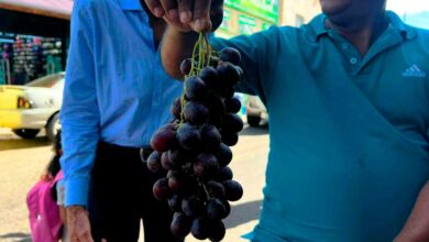 Tradición de las 12 uvas se mantiene viva en Monagas pese a los costos