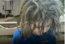 Francia: Niño de 9 años sobrevivió solo por dos años en una casa sin luz ni calefacción