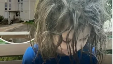 Francia: Niño de 9 años sobrevivió solo por dos años en una casa sin luz ni calefacción