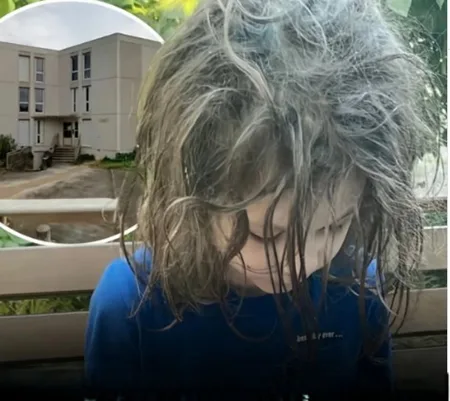 Francia: Niño de 9 años sobrevivió solo por dos años en una casa sin luz ni calefacción