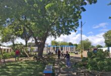 Libertador prioriza el embellecimiento de espacios públicos