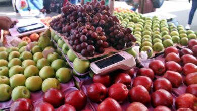 ¡A preparar el bolsillo! Uvas para Navidad podrían costar entre $7 y $15 el kilo en Maturín