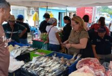 190 mil familias atendidas con plan Amor y Prosperidad Alimentaria durante el 2025