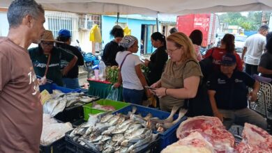 190 mil familias atendidas con plan Amor y Prosperidad Alimentaria durante el 2025