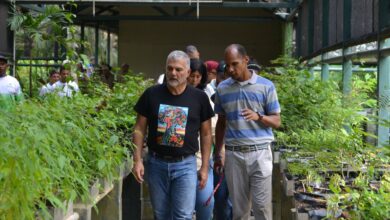 Venezuela conmemora el legado ambiental de Bolívar con debate nacional de semilleristas