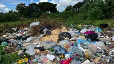 Basura y maleza generan riesgo sanitario en el maternal y Casa Alimentación de Alí Primera