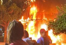 Encendido navideño termina en incendio de árbol en México