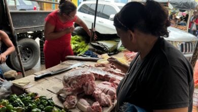 Maturineses reportan altos precios de los ingredientes para la hallaca