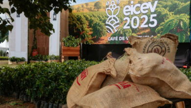 Venezuela aumentó 500% las exportaciones de café con respecto al año pasado