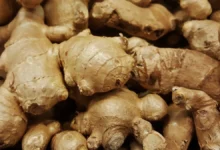 Las 7 contraindicaciones del jengibre: cuándo no hay que usarlo