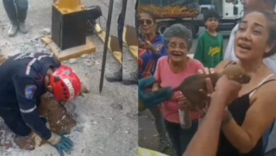 Bomberos rescatan a un cachorro atrapado en una tubería