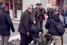 Indignación en Nueva York: Pitbull ataca a un bebé de un año en plena calle