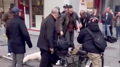 Indignación en Nueva York: Pitbull ataca a un bebé de un año en plena calle