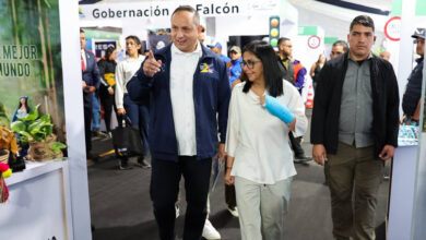 Delcy Rodríguez agradece a aerolíneas por su operatividad en diciembre