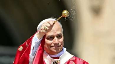 El Papa León XIV pide una tregua mundial: Detengan la guerra, aunque sea por un día