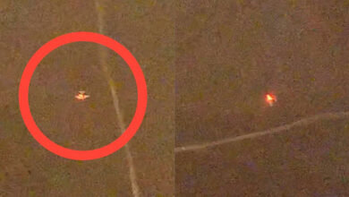 FANB inmoviliza aeronave ilegal en Bolívar