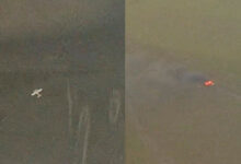 La FANB neutraliza una aeronave ilegal en Apure con el apoyo de cazas F-16