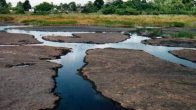 Presidente Maduro firma decreto para inversión en el Lago de Asfalto de Sucre