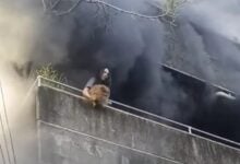 Mujer arriesga su vida para salvar a sus tres perros de un incendio en Filipinas