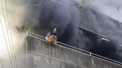 Mujer arriesga su vida para salvar a sus tres perros de un incendio en Filipinas
