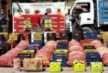 FANB incauta más de 8 toneladas de hortalizas de contrabando en el estado Zulia