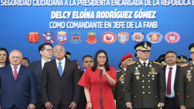 Presidenta (E) Delcy Rodríguez ordena diseñar nuevo Sistema Defensivo de la Nación en 100 días