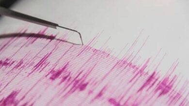 Sismos de 5,2 golpean a Honduras y Guerrero, México